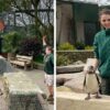 Zookeepers Self-Isolate in UK Wildlife Park for 3 Months to Take Care of Animals