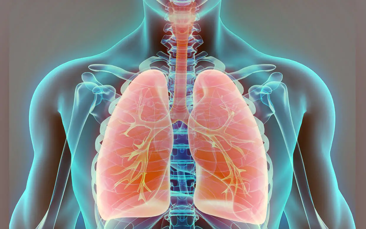 detoxify-your-lungs-8-must-do-strategies-to-heal-your-respiratory-problems