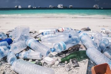 Microplastics Highest in the Maldives, Study Finds