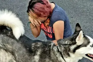 Woman Tearfully Reunites with Husky Stolen from Her 2 Years ago