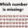 Can YOU Spot the Missing Number in this Viral Puzzle?