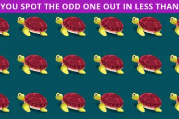 How FAST Can You Find the Odd Turtle in this Photo?