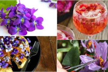 10 Great Edible Flowers: Flavor Your Food & Improve Your Health