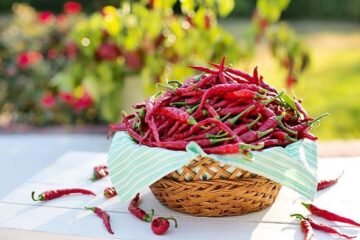 Could this Spice Really Extend Our Life?