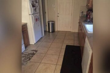 Can YOU Spot the Dog in this Viral Kitchen Photo? A lot of People actually Can’t!