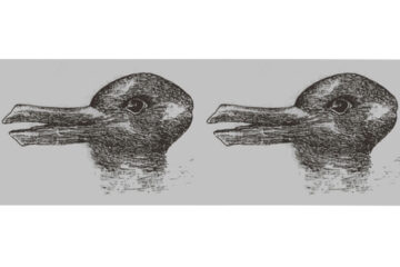 New Version of a Classic Optical Illusion Is Confusing Us all!