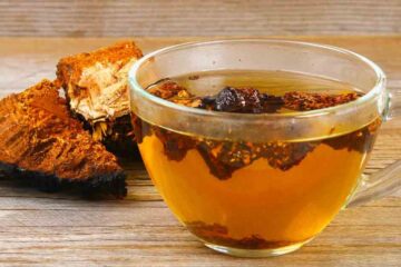 Chaga Tea: Unusual, but Health-Improving Drink
