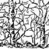 Can You Solve It: How many Animals Do You See?