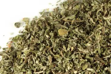 Damiana Herb: Lowers Stress & Elevates Your Sexual Drive