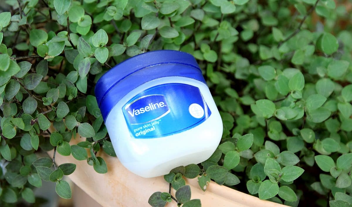 Gardening Hacks 6 Awesome Uses of Vaseline in the Garden