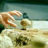 How Is Paris Turning Abandoned Parking Garages into Organic Mushroom Farms