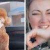 Dog Gave His Owner the ‘Cold Shoulder’ after It Got an Unexpected Haircut