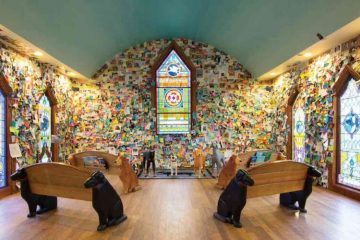 A Vermont Mountain Resort Is a Mecca for Dogs & Dog Lovers from around the World