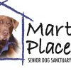 Abandoned Senior Dogs Living their Best Golden Years at this Amazing Sanctuary