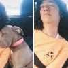 Pittie Puppy Sneaks in for the Cutest Nap with His Sister after a Long Day at the Beach