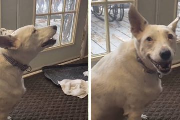 Deaf Dog that never Heard a Bark ‘Invents’ Her own Way of Communication