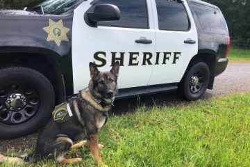 Injured K9 Officer Gets a Hero’s Salute when He Left the Hospital