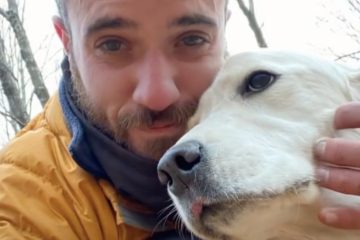 Poor Dog Lost in the Woods for 10 Days during a Winter Storm Saved Thanks to a Drone