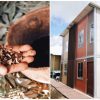 Brilliant Low Income Housing Idea in Columbia: Houses Made of Coffee Waste
