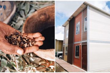 Brilliant Low Income Housing Idea in Columbia: Houses Made of Coffee Waste