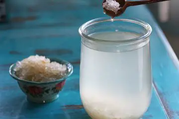 How to Make Coconut Kefir Water: Reduces Sugar Cravings & Detoxifies the Liver