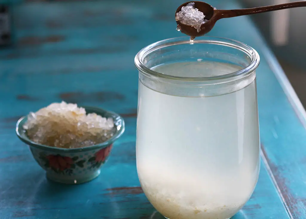 How to Make Coconut Kefir Water: Reduces Sugar Cravings & Detoxifies