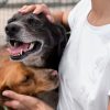 San Antonio Pet Stores Will soon Have to Sell only Pets from Shelters