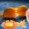 Vitamin D Supplement May Help Decrease the Risk of Cancer