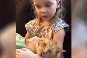 Little Girl Serenades Her Beloved Cat for one last Time before He Passed away