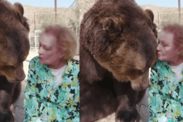 At the Age of 99, Betty White Puts Fear aside & Kisses a Giant Grizzly Bear