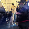 Every Day this Dog Rides the Bus by Herself to Visit the Park