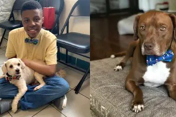 Amazing Teen Makes Tiny Bow Ties for Shelter Dogs to Help Them Get Adopted