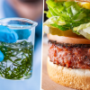Meet the First Plant-Based Burger Patty: Made from Microalgae with 2X more Protein than Beef