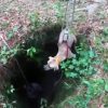Wonderful Hiker Rescues a Dog Trapped in a Floridian Cave