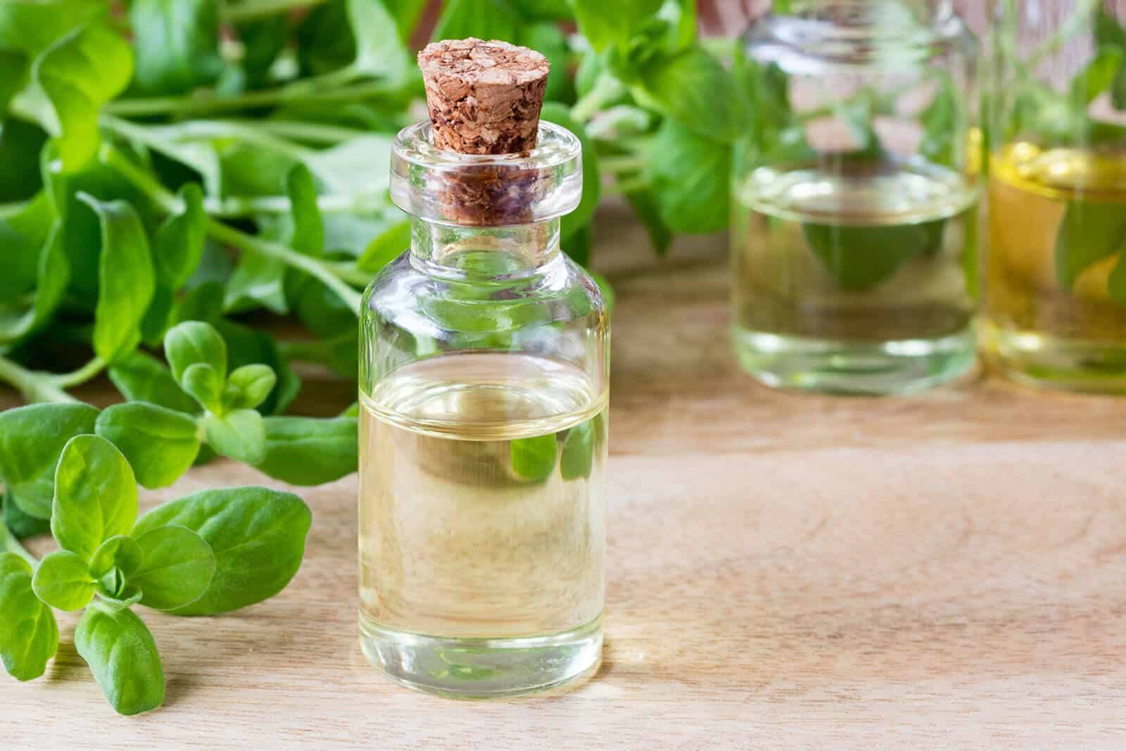 Marjoram Essential Oil How It Betters Your Digestion & Heart Health