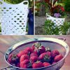 People Are Using Cheap Laundry Baskets to Grow Delicious Strawberries & It’s a Genius Idea