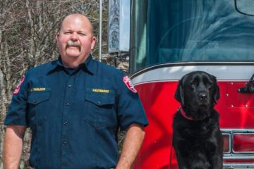 Sheldon the Dog Flunked Out of Service Training & Became a Pro at Sniffing Out Arson
