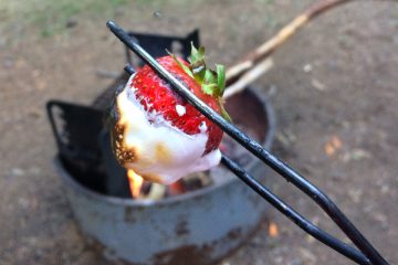 Campfire Strawberries apparently Make You Forget about S’mores