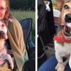 Retired Nurse Opens Up a Hospice for Dying Dogs: They Deserve Love in their Last Moments, She Says