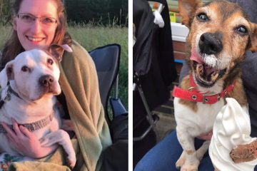 Retired Nurse Opens Up a Hospice for Dying Dogs: They Deserve Love in their Last Moments, She Says
