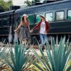 Travel through Mexico on an All-You-Can-Drink Luxury Tequila Train