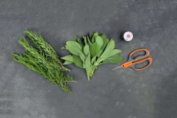 How to Make Your DIY Rosemary Sage Smudge Sticks for Proper Cleanse & Blessings