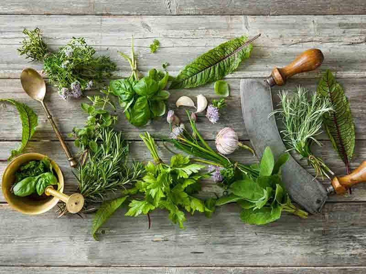 Top 10 Herbs for Your Nerves (Calm Your Nervous System Naturally)