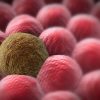 A New Potential to Kill Cancer: Nikola Tesla’s “Magic Frequency”