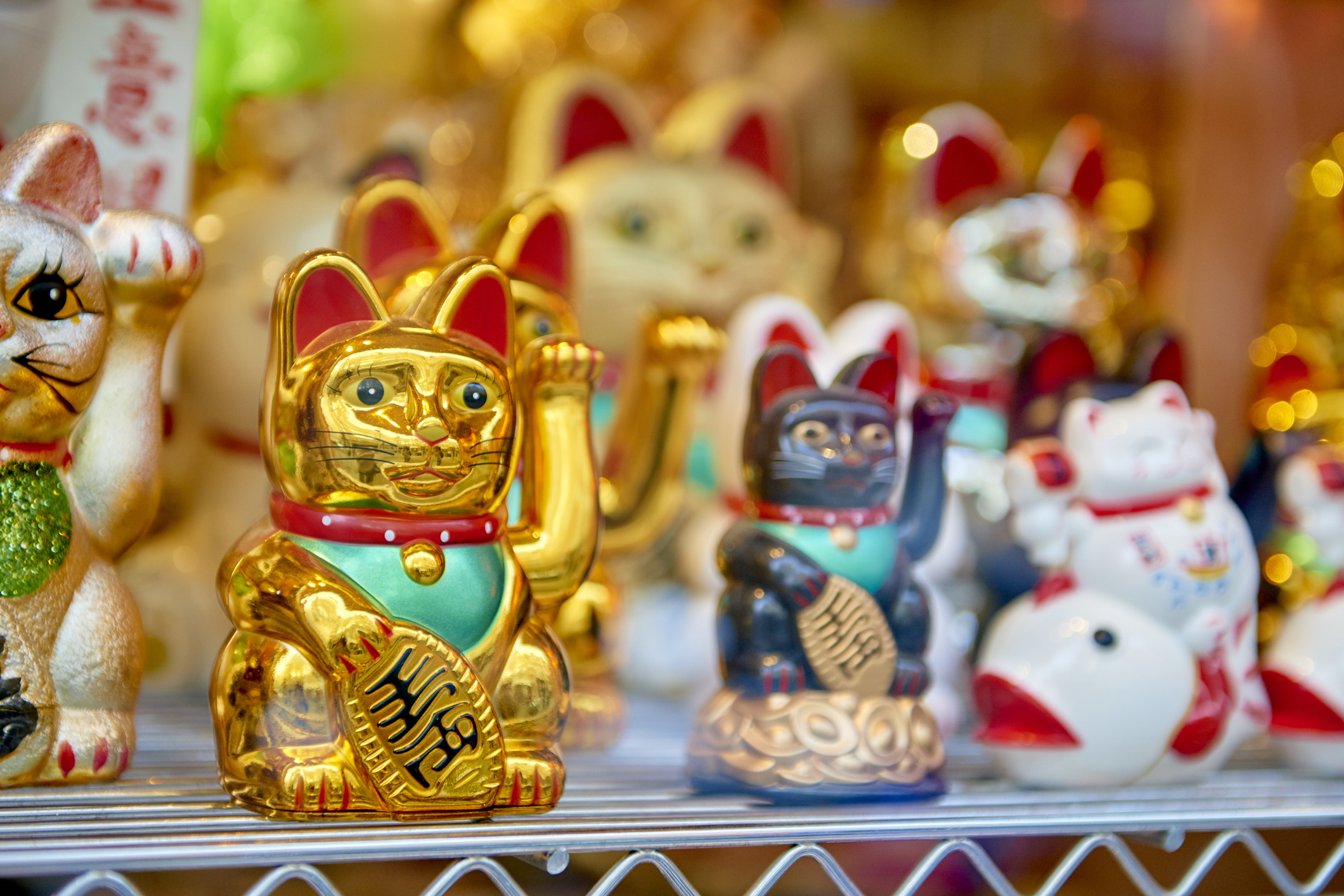 the-fascinating-history-meaning-of-maneki-neko-why-we-all-need-this