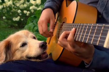 Popular Guitarist Says Goodbye to His Music-Loving Dog Companion Maple