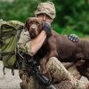 Congress Passes a Bill that Helps Veterans with PTSD Get Service Dogs