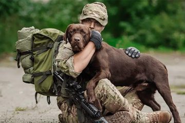 Congress Passes a Bill that Helps Veterans with PTSD Get Service Dogs
