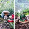 Azuki the Pygmy Hedgehog Packs His Tiny Bags & Goes Camping in this Adorable Photo Shoot
