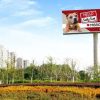 Dog Is Given His Own Billboard to finally Get Adopted & Leave the Shelter after Two Years